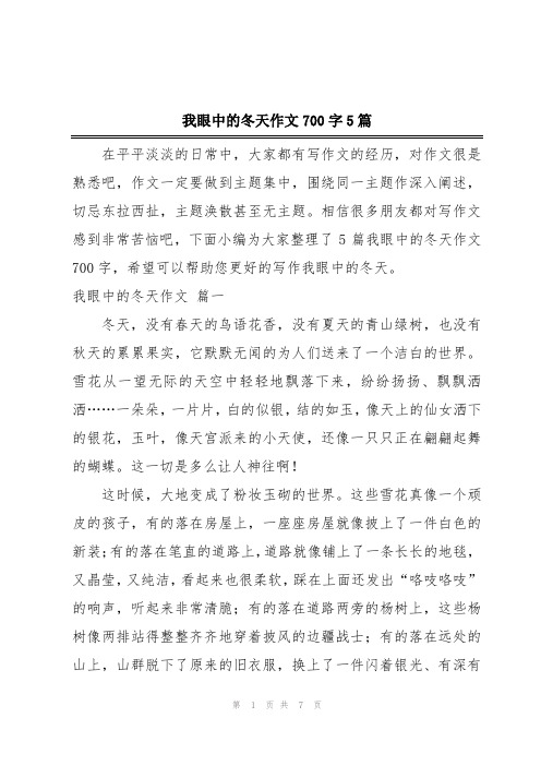 我眼中的冬天作文700字5篇