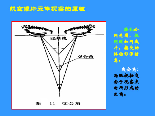 实习四 立体观察.