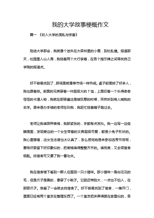 我的大学故事梗概作文