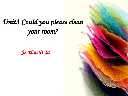 unit3 Could you please clean your room sectionB 2b课件