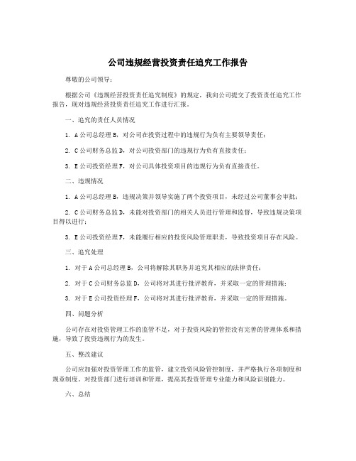 公司违规经营投资责任追究工作报告