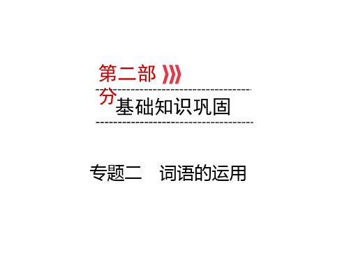 云南专版中考语文复习课件：第2部分 专题二 词语的运用 (共21张PPT)