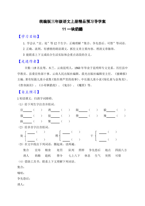 11.一块奶酪 导学案(自主预习+精品练习+答案)