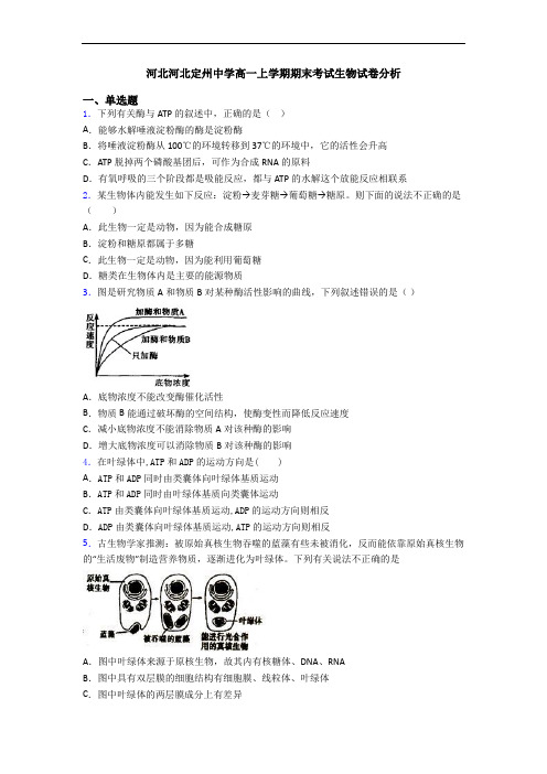 河北河北定州中学高一上学期期末考试生物试卷分析