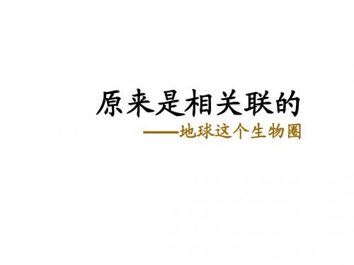 教科版六上科学 4.6原来是相互关联的