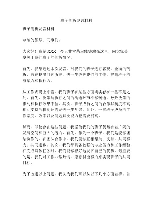 班子剖析发言材料