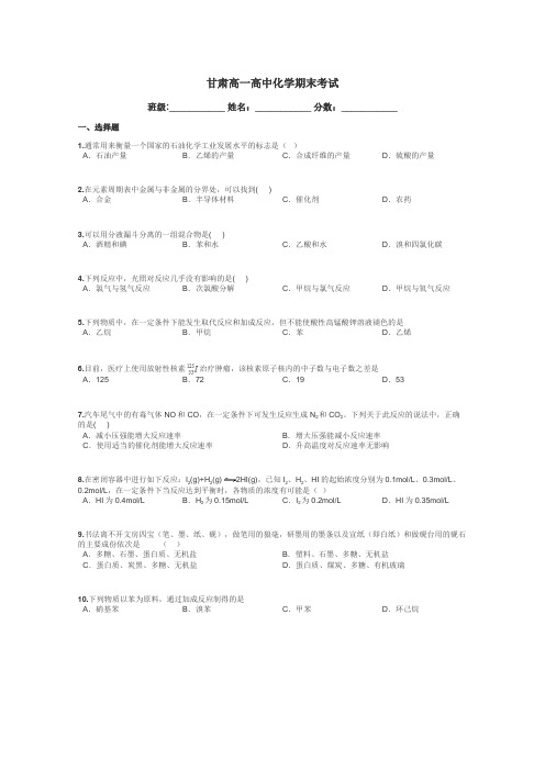 甘肃高一高中化学期末考试带答案解析
