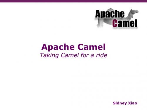 ApachecameV1