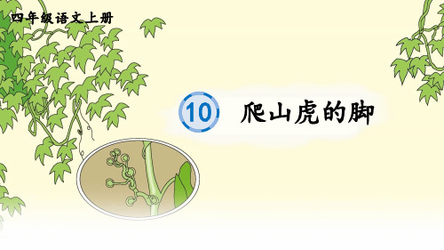 《爬山虎的脚》生字课件PPT