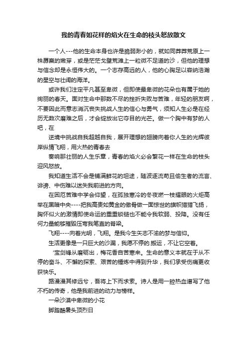 我的青春如花样的焰火在生命的枝头怒放散文