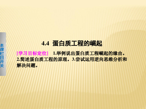 北师大版  高中生物《蛋白质工程的崛起》精品课件