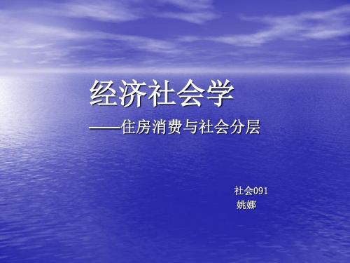 经济社会学