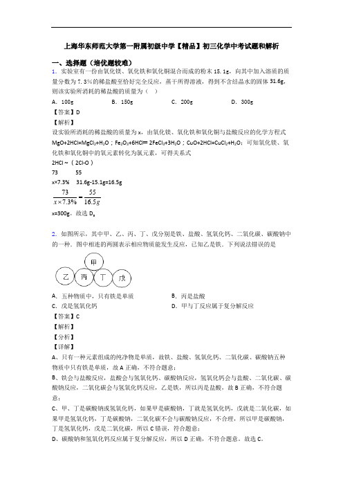 上海华东师范大学第一附属初级中学【精品】初三化学中考试题和解析