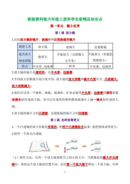 最新版教科版六年级上册科学知识点总结与归纳