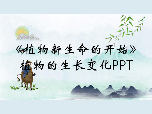 《植物新生命的开始》植物的生长变化PPT