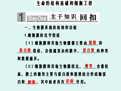 生命结构基础和细胞工程