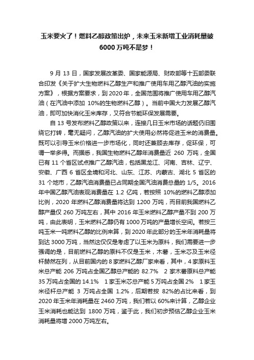 玉米要火了！燃料乙醇政策出炉，未来玉米新增工业消耗量破6000万吨不是梦！