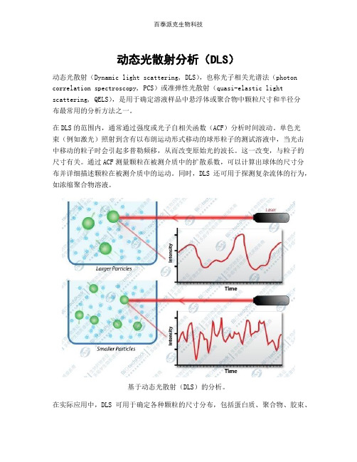 动态光散射分析(DLS)