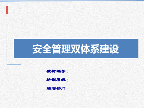 安全管理双体系建设