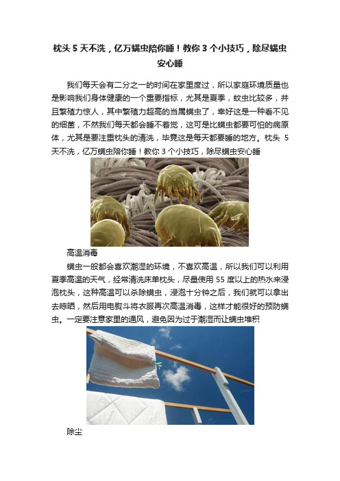 枕头5天不洗，亿万螨虫陪你睡！教你3个小技巧，除尽螨虫安心睡