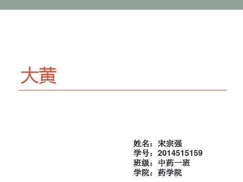 大黄炮制及现代研究