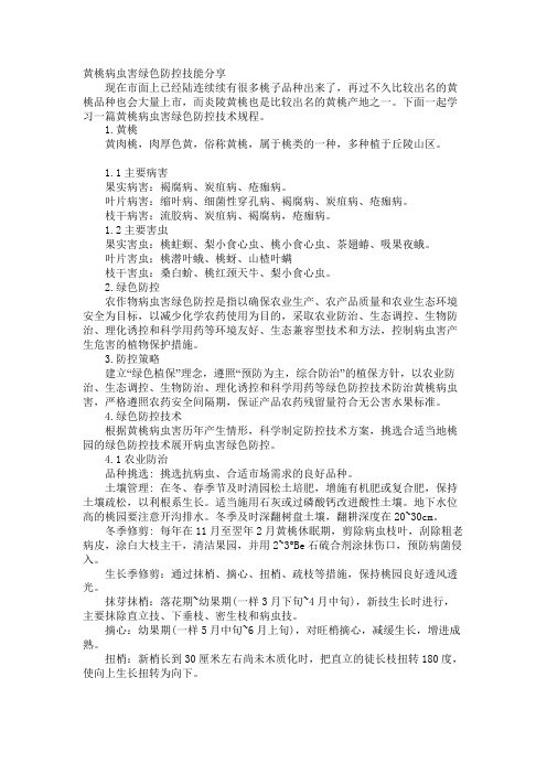 黄桃病虫害绿色防控技巧分享