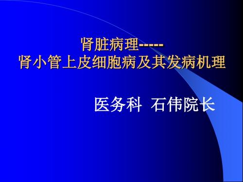 肾小管上皮细胞病及其发病机理