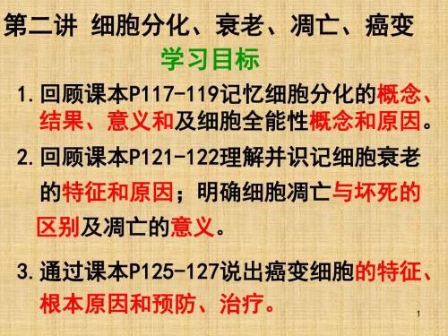 (水滴系列)高中生物 第6章 细胞的分化、衰老、凋亡、癌变名师精编课件 新人教必修1