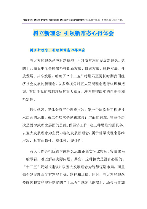 树立新理念 引领新常态心得体会
