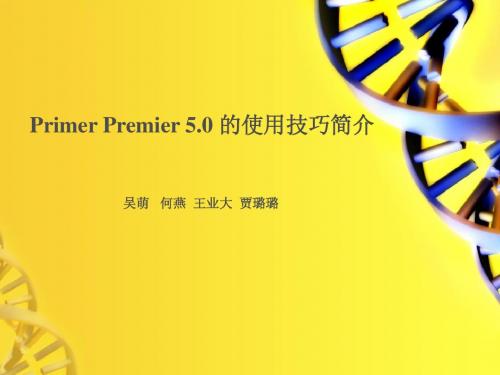 premier 5.0使用