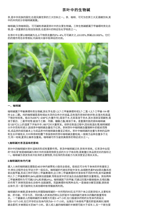 茶叶中的生物碱