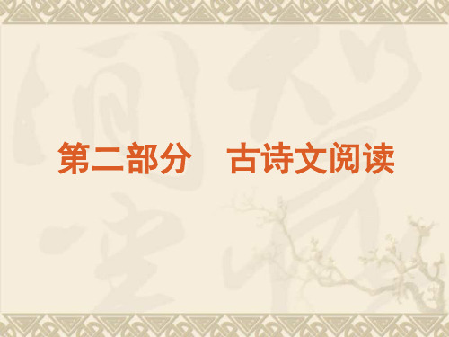 【语文60天冲刺】高考二轮三轮总复习专题学案精品课件第2部分-古诗文阅读(大纲专用)