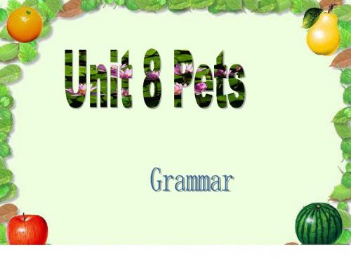 牛津译林版7B Unit8 Pets Grammar课件(共41张PPT)