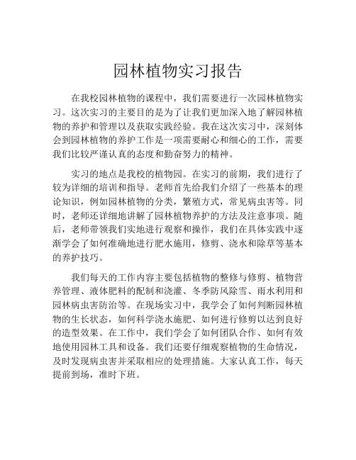 园林植物实习报告