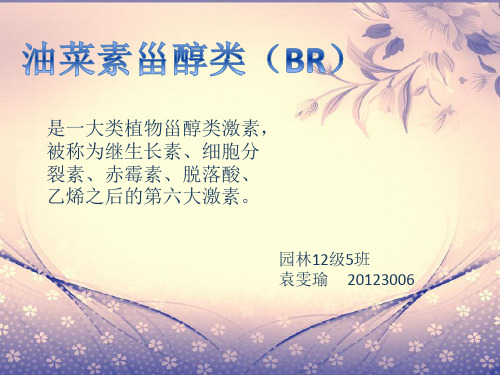 油菜素甾醇类
