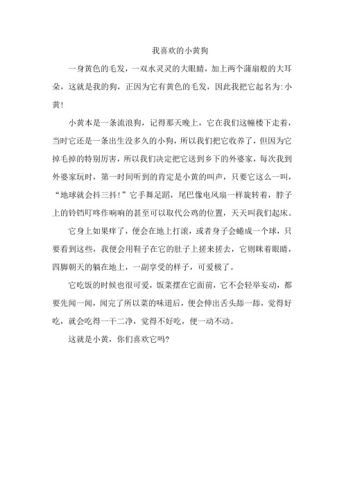 我喜欢的小黄狗作文