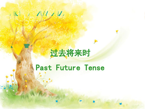 时态 过去将来时
