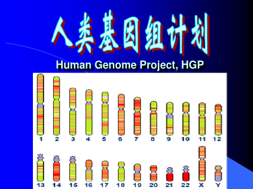 人类自然科学三大计划之基因组