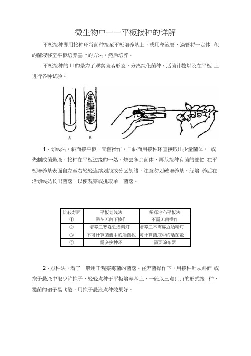 微生物中——平板接种的详解