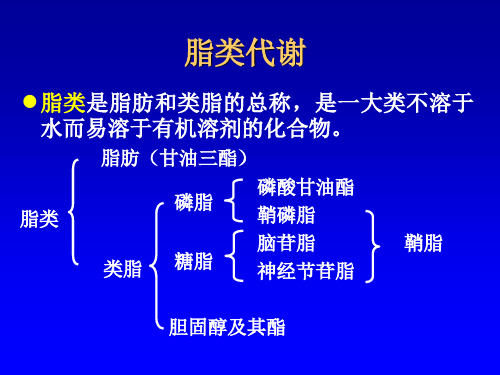 生物化学7.脂类代谢