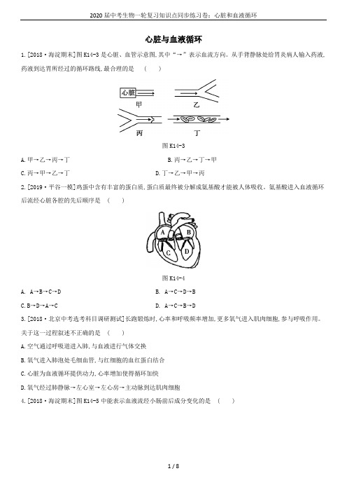 2020届中考生物一轮复习知识点同步练习卷：心脏和血液循环