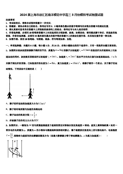 2024届上海市徐汇区南洋模范中学高三3月份模拟考试物理试题含解析