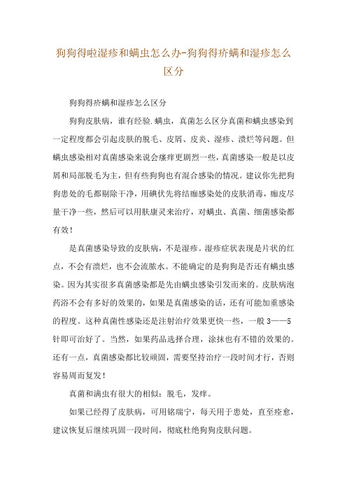 狗狗得啦湿疹和螨虫怎么办-狗狗得疥螨和湿疹怎么区分