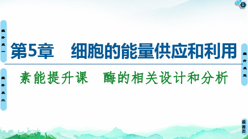 第5章 素能提升课 酶的相关设计和分析 课件 【新教材】人教版高中生物必修第一册