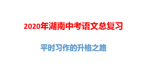 2020年湖南省中考语文作文总复习：平时习作的升格之路