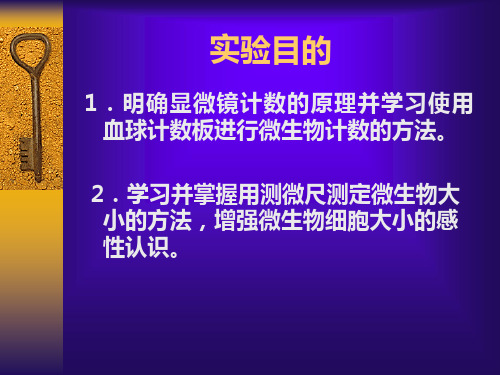 实验七微生物血球计数板直接计数法和测微技术教案