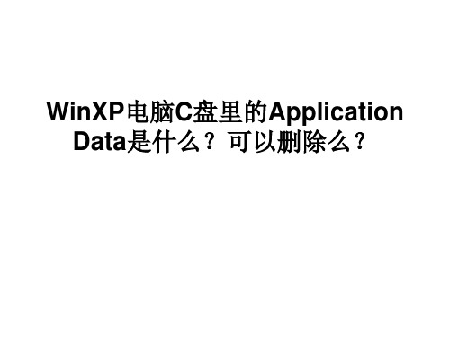 WinXP电脑C盘里的Application