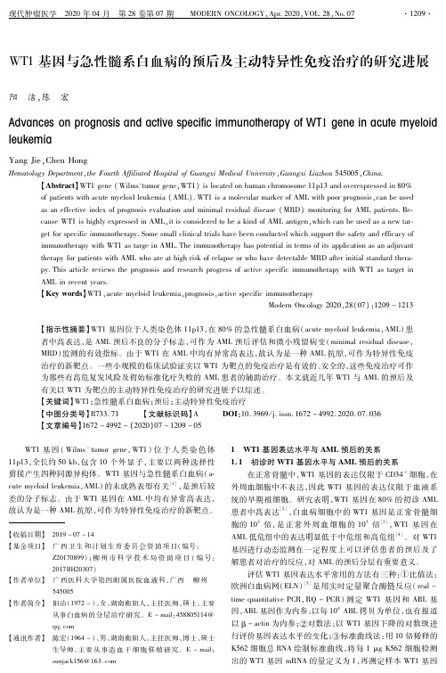wt1基因与急性髓系白血病的预后及主动特异性免疫治疗的研究进展