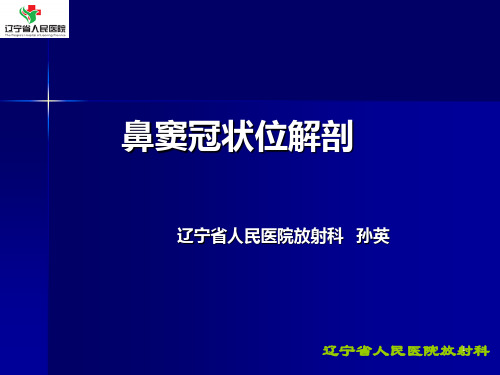 鼻窦冠状位解剖详解