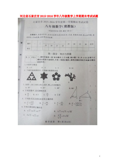 八年级数学上学期期末考试试题(扫描版) 冀教版1